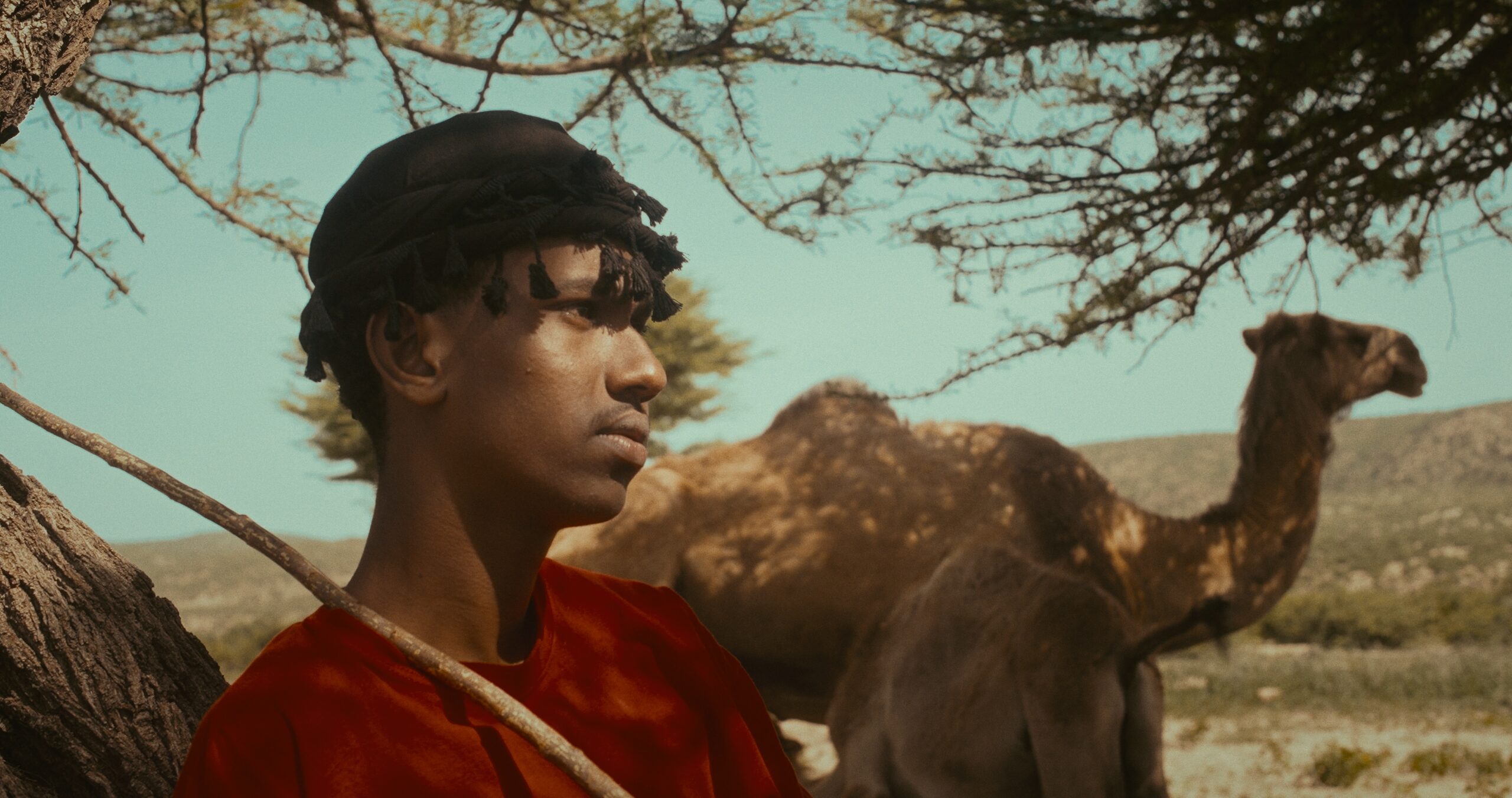 Still 2025-09-15 121604_2.7.1