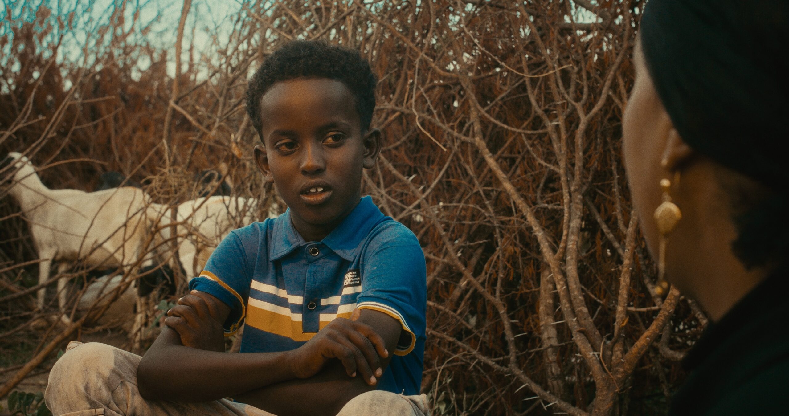 Still 2025-09-16 114055_1.13.1